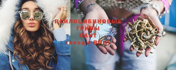 PSILOCYBIN Абдулино