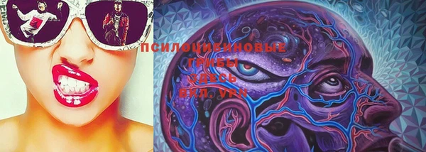 PSILOCYBIN Абдулино