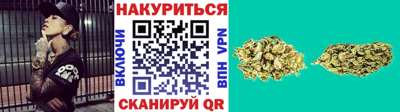 Конопля гибрид  Починок 